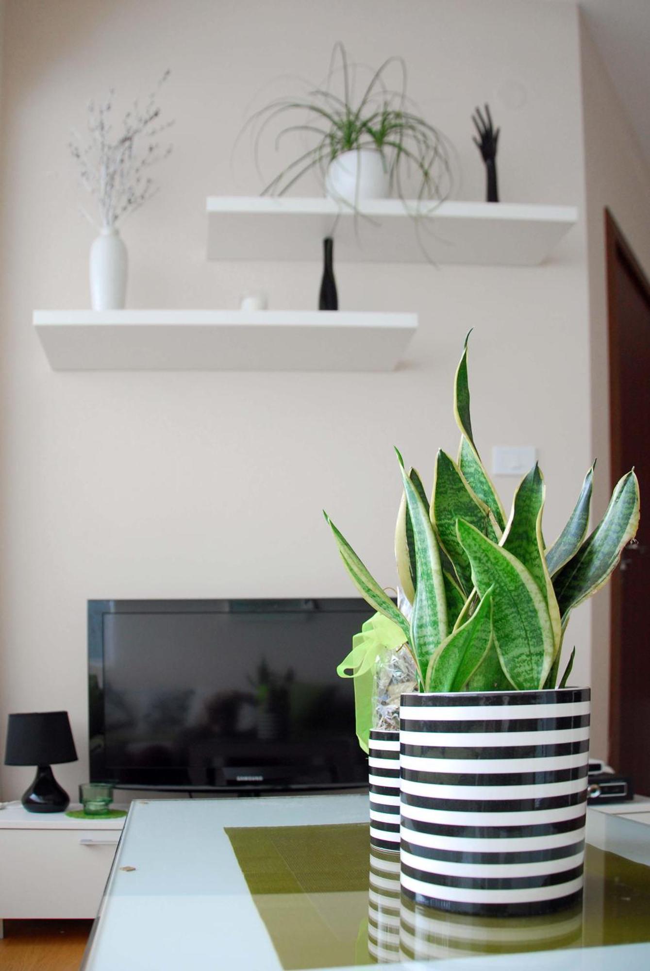 Apartments Iva Tivat Ngoại thất bức ảnh