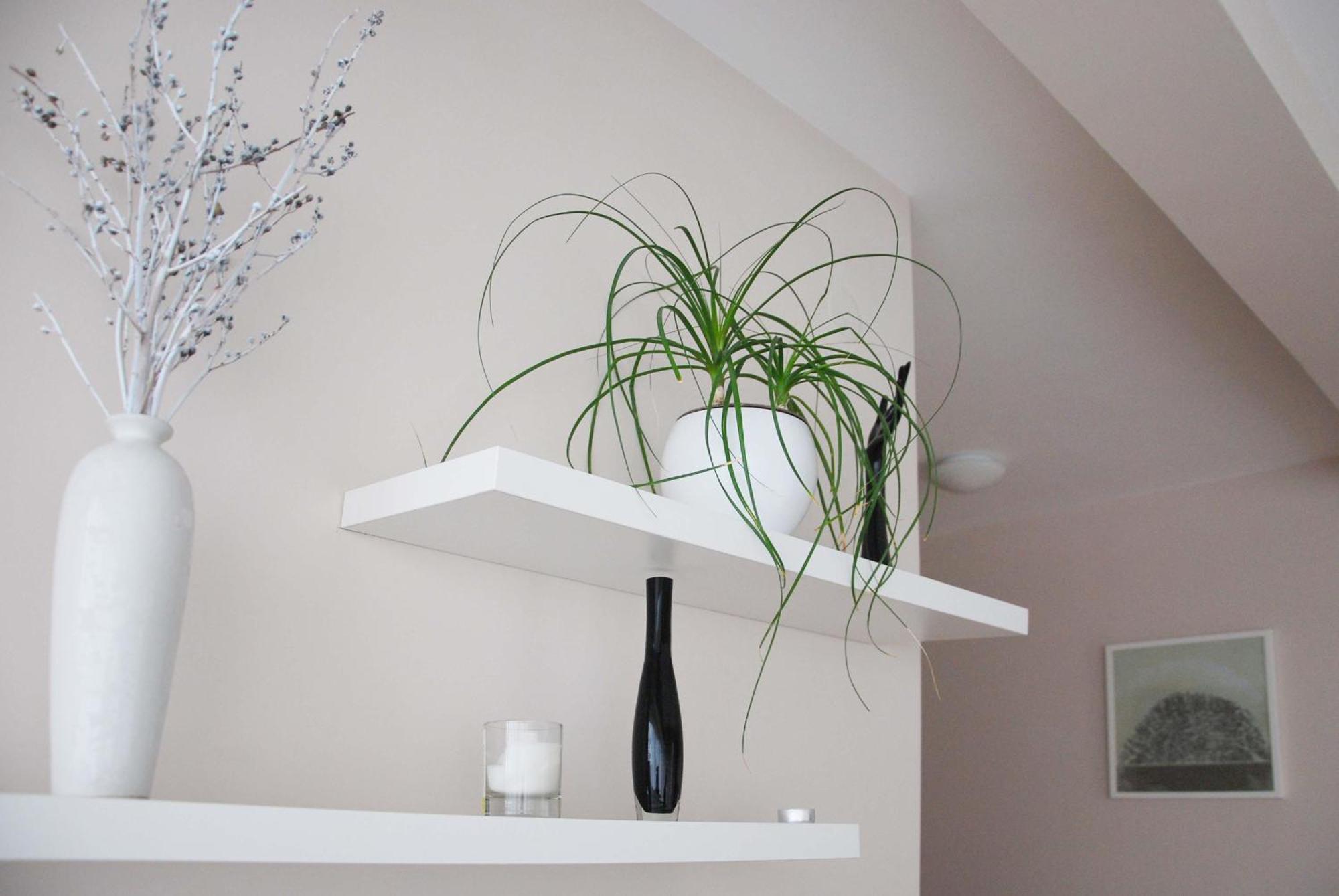 Apartments Iva Tivat Ngoại thất bức ảnh
