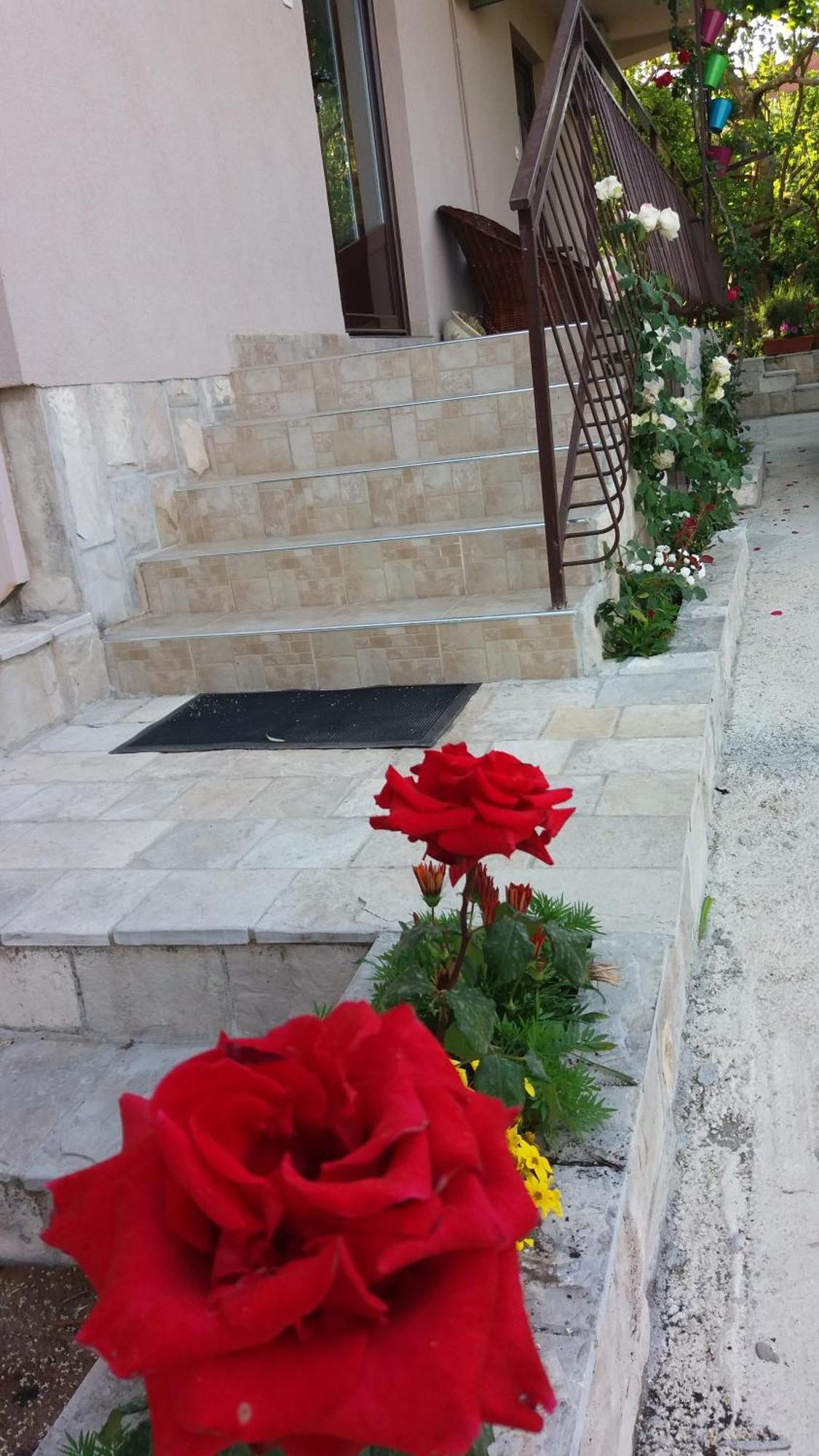 Apartments Iva Tivat Ngoại thất bức ảnh