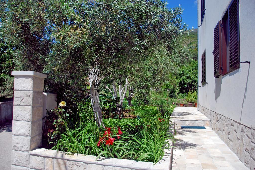 Apartments Iva Tivat Phòng bức ảnh