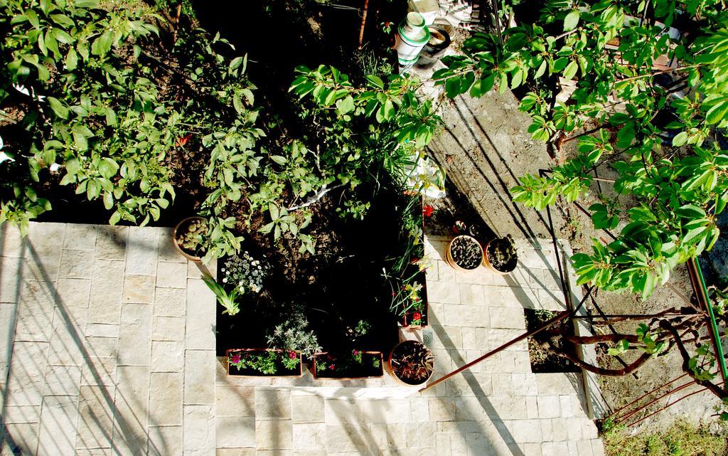 Apartments Iva Tivat Ngoại thất bức ảnh
